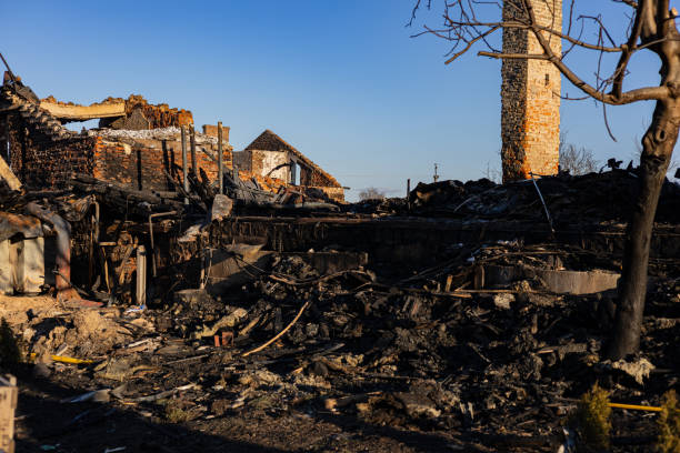 Reliable Fire Damage Repair contractor in Woodville, TX by Fire Damage Doption